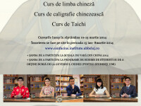 Cursuri de limba chineza, de caligrafie si de Taichi la UBB, Cluj-Napoca