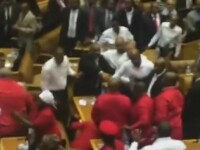 bataie parlament africa de sud