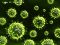 virus gripal H1N1
