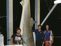 Trei pescari din Australia, criticati dupa ce s-au laudat pe Facebook ca au prins 