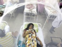 Primele decese cauzate de virusul Zika, anuntate in Columbia. Cercetatori brazilieni au detectat virusul in urina si saliva