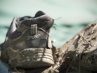 pantof sport - Shutterstock