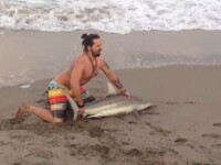 Scene revoltatoare in Florida. Ce s-a intamplat dupa ce un barbat a scos din apa un rechin pentru a se poza cu el. VIDEO