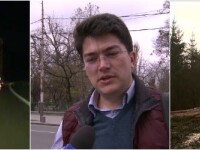 Joaca de-a baba oarba pe 3 judete, intre hotii de lemne si autoritati. Cum a ajuns un activist sa faca el treaba politiei