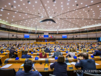 dezbatere in parlamentul european