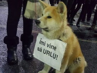 proteste in Romania