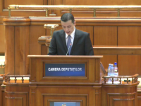 Sorin Grindeanu