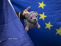Negocierile pentru BREXIT sunt in impas. PE critica oferta facuta de Theresa May cetatenilor UE care vor sa stea in Regat