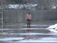 inundatii Vrancea - stiri