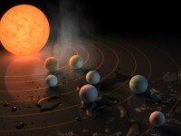 NASA a descoperit sapte exoplanete de marimea Terrei, iar pe trei dintre ele viata este posibila. La ce distanta se afla