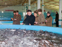 Cinci demnitari nord-coreeni, executati cu tunul din ordinul lui Kim Jong-un. Greselile pentru care au fost pedepsiti astfel
