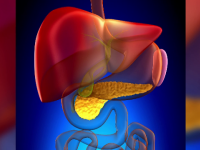 Cum putem preveni suprasolicitarea pancreasului endocrin, responsabil cu producerea insulinei