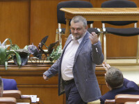 Scene uluitoare in Parlamentul României. ”A paradit-o sau nu pe Andreea Cosma?”
