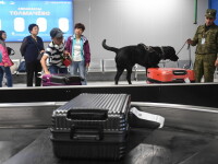 Descoperire uluitoare în bagajul unui pasager, în Aeroportul Hong Kong