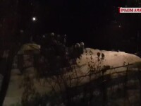 Turmă de mistreți surprinsă pe lângă casele oamenilor, în Maramureș