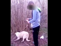 Imagini șocante în Dâmbovița. Un adolescent dă foc unui câine legat de un copac