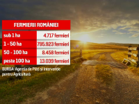 Agricultura românească, în topul ineficienţei. 3 milioane de fermieri sunt doar pe hârtie