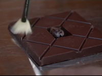 cea mai scumpă ciocolată din lume