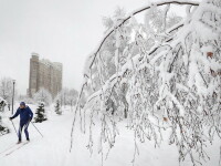 Căderi de zăpadă record la Moscova. Zeci de zboruri au fost anulate