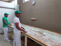 Revolta la Ditrau, Harghita, dupa angajarea unor asiatici la fabrica de paine - 2