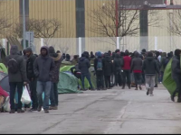 Migranții nu sunt descurajați de ieșirea Marii Britanii din UE