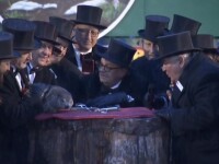 Celebra marmotă Phil a prezis cum va fi iarna anului 2020. VIDEO