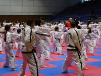 Număr record de sportivi la un stagiu de perfecționare de taekwondo, organizat în Baia Mare