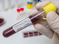 coronavirus