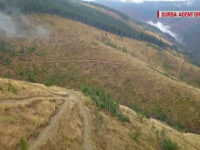 România, avertizată de UE. Cum a dispărut o pădure de dimensiunea Bruxelles-ului în Maramureș