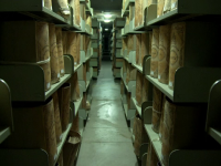 Arhivele interzise ale Vaticanului ar putea fi făcute publice. Secretul oribil legat de Hitler