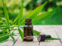 (P) Anxietate, insomnie, dureri cronice și alte probleme pe care le poți trata cu ulei de canabis