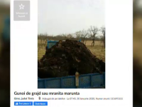 Câți bani câștigă românii care vând bălegar pe internet
