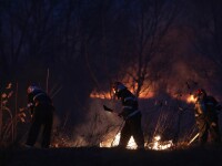 Delta Văcărești a fost cuprinsă de flăcări