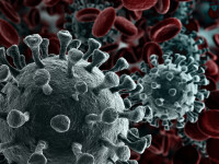 Experții au aflat cum a ajuns coronavirusul în Europa. Prima țară infectată de COVID-19