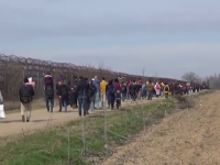 Sute de migranți vin spre Europa. Reacția ONU și NATO la conflictul dintre Turcia și Siria