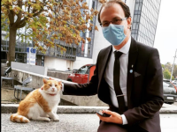Deputatul USR PLUS care își face reclamă pe Facebook drept apărător al statului de drept și iubitor de pisici