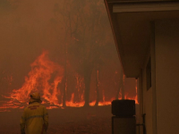 Incendiile de vegetație au revenit în Australia, de data asta în vest. Mii de hectare afectate