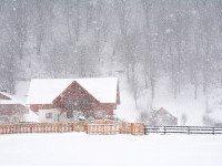 Prognoza meteo 24 ianuarie - 6 februarie. Ar putea ninge în fiecare zi, în majoritatea regiunilor