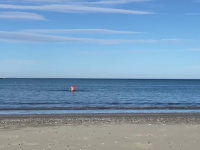 Vremea deosebit de caldă de pe litoral i-a dat curaj unui bărbat să facă o baie în Marea Neagră