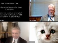 Cum a apărut un avocat într-o videoconferință cu un judecător. Imaginile au devenit virale