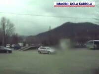 Șofer prins de polițiști după ce a călcat intenționat un câine cu mașina, la Baia Mare
