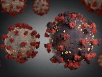 Varianta britanică a coronavirusului reprezintă deja 46 % dintre cazurile din Germania