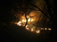Incendiu în județul Dâmbovița. Peste 10 hectare de vegetație au ars