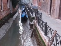 VIDEO. Veneția a ajuns în noroi, după ce canale au secat din cauza mareei joase