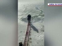 Un cățel căzut în apele râului Siret, salvat de pompierii din Suceava