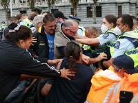 Protest NZ