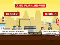 Angajații din petrol-gaze, cei mai bine plătiți din România. Măririle lor, mai mari decât salariile întregi din alte domenii