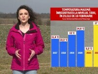 România înregistrează prima iarnă cu secetă. Culturile sunt în mare suferință în lipsa zăpezii