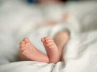 Un bebeluș din Marea Britanie a murit din cauza febrei Lassa. Două rude ale micuțului au luat și ele boala
