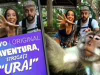 VOYO prezintă ”Aventura, strigați ura!” - un show digital neașteptat, plin de adrenalină și suspans, cu Speak și Ștefania